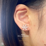 EB060 - Khuyên tai thiết kế - Lucy Jewelry