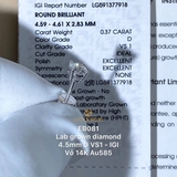 EB081 - Khuyên tai thiết kế, round cut, 4.5mm  - Lucy Jewelry