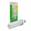 Bóng U100w vặn Rạng Đông (1 t = 12 cái )