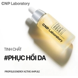 Serum Tinh Chất Keo Ong CNP 3 Món 100ml (1 Lọ 50ml + 1 Túi Refill 50ml + 1 Tất )