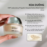 Set Kem Dưỡng Keo Ong, Phục Hồi Da CNP Laboratory Propolis Ampule Active Shot Cream ( 1 hũ 50ml + 1 tube 50ml)