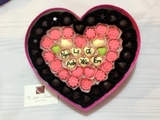 Quà tặng 14/2- Socola Valentine