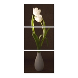 tranh-hoa-tulip