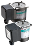 Sesame AC Induction Motors - Terminal Box Type