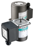 Sesame AC Reversible Motors - Terminal Box Type
