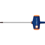 TUỐC NƠ VÍT LỤC GIÁC HOA THỊ GARANT 625150 TX10