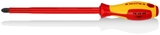 KNIPEX® TUA VÍT 98 24 04 CHO VÍT BAKE PHILLIPS®