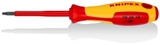 KNIPEX® TUA VÍT 98 26 15 CHO VÍT TORX®