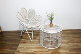 Rattan Furniture (Coffee Table+Chair) - BH3406A-2WH