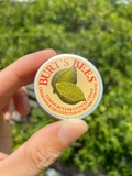 A Bit Of Burt’s Bees Vanilla Bean - MADE IN USA.