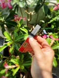 YSL The Slim Wild Collector Crocrodile Series 119 Light Me Red ( Phiên Bản Đặc Biệt ) - MADE IN FRANCE.