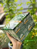 Xà phòng cục Irish Spring (20 cục) - MADE IN USA.