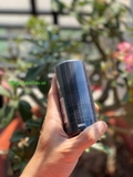 Lăn Khử Mùi Calvin Klein CK Be 75g - MADE IN MONACO.