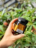 Mật ong Manuka Waimete Honey MGO 100+ (250g) - MADE IN NEW ZEALAND.