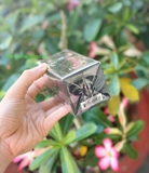 Lăn khử mùi Dior Sauvage (75g) - MADE IN FRANCE.
