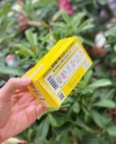 Thuốc điều trị trĩ Boraginol (30 viên) - MADE IN JAPAN.