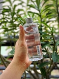 Nước hoa hồng Muji Light Toning Water Light (200ml) - MADE IN JAPAN.