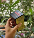 Đông trùng hạ thảo Tohchukasou Royal Gold (420 viên) - MADE IN JAPAN.