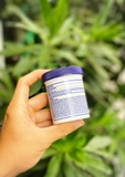 Dầu xoa bóp Icy Hot Balm Pain Relieving (99.2g) - MADE IN USA.