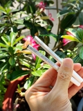 Chì kẻ mày Shiseido Eyebrow Pencil - MADE IN JAPAN.
