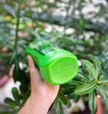 Gội xả Pert 2in1 Complete (1000ml) - MADE IN CANADA.