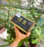 Dầu gội phủ bạc Komi Natural Black (500ml) - MADE IN JAPAN.