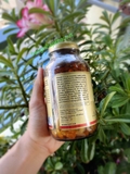 Viên uống Vitamin C kết hợp Tinh chất Nụ Tầm xuân Solgar Vitamin C 500 mg with Rose Hips (240 ngày) - MADE IN USA