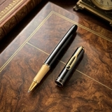 But-cao-cap-Picasso-620-den