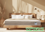 Đệm foam Artemis Nature Dream Original