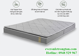 Đệm bông ép TOP PLUS – New