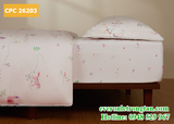 Bộ chăn ga gối Everon CPC 26203