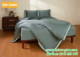 Bộ chăn ga gối Everon ESB 26005