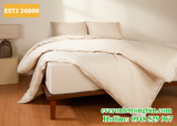 Bộ chăn ga gối Everon ESTJ 26008
