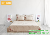 Bộ chăn ga gối Everon ESM21013