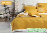 Bộ chăn ga gối Everon EST 22030