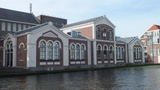 Webster University Leiden - Học bổng lên tới 30%