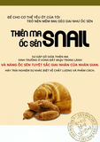 THIÊN MA ỐC SÊN