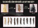 HẮC SÂM JIN