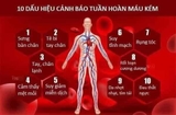 TINH DẦU THÔNG ĐỎ 