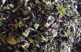 LÁ CẨM KHÔ - 100gr