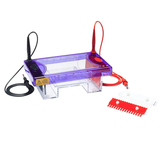 be-dien-di-ngang-multisub-max-model-msmaxi-hang-cleaver-scientific-anh