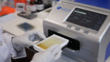 may-doc-elisa-96-gieng-model-ac3000-hang-azure-biosystems-usa