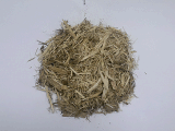 SUGARCANE BAGASSE