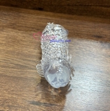 bao-don-vay-rong-co-quai-deo-5