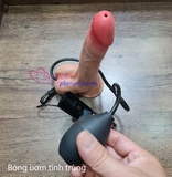 chim-gia-co-rung-gan-tuong-ban-tinh-trung-7