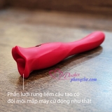 may-rung-liem-da-nang-3