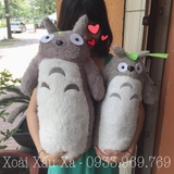 Gấu ôm dài Totoro