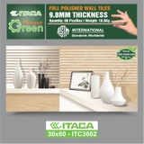 GẠCH ỐP ITACA ITC3602
