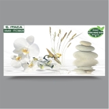 GẠCH ỐP 30x60 ITACA: ITC36020