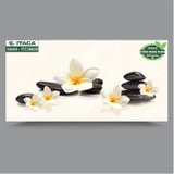 GẠCH ỐP 30x60 ITACA: ITC36026